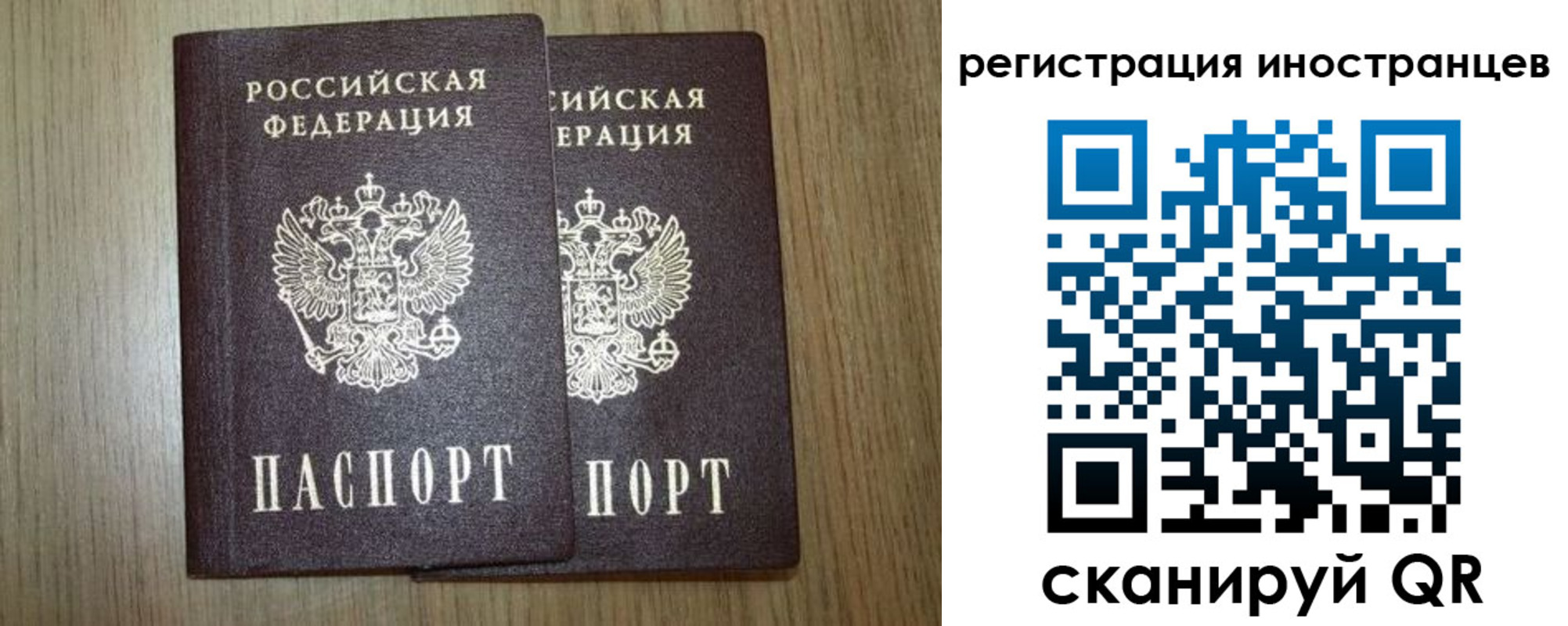 прописка для школы в Тосно